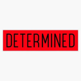 Positive Quote TEE for Women and Men Vinyl Bumper Sticker Size 5"